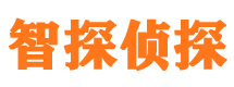 东至市私家侦探